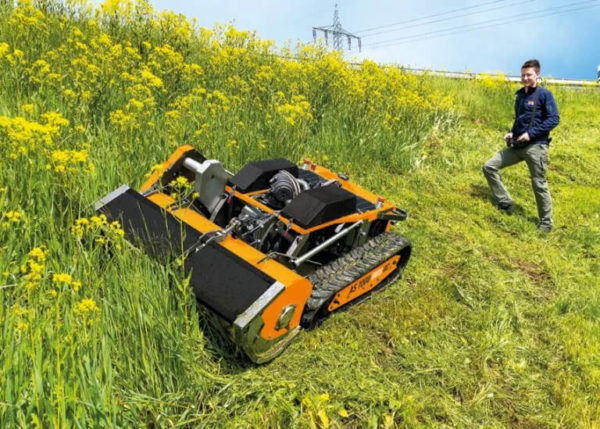 AS 1000 Ovis RC – Bild 3