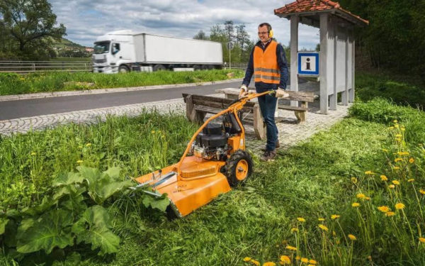 AS 65 4T B&S – Bild 3