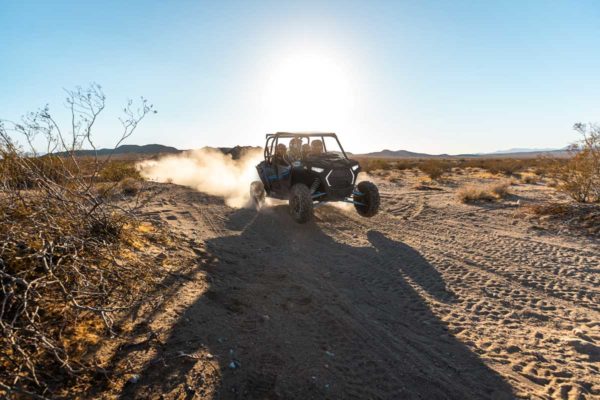 Rzr XP® 4 1000 EPS – Bild 3
